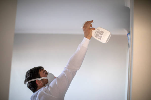Best Black Mold Remediation in New Middletown, OH
